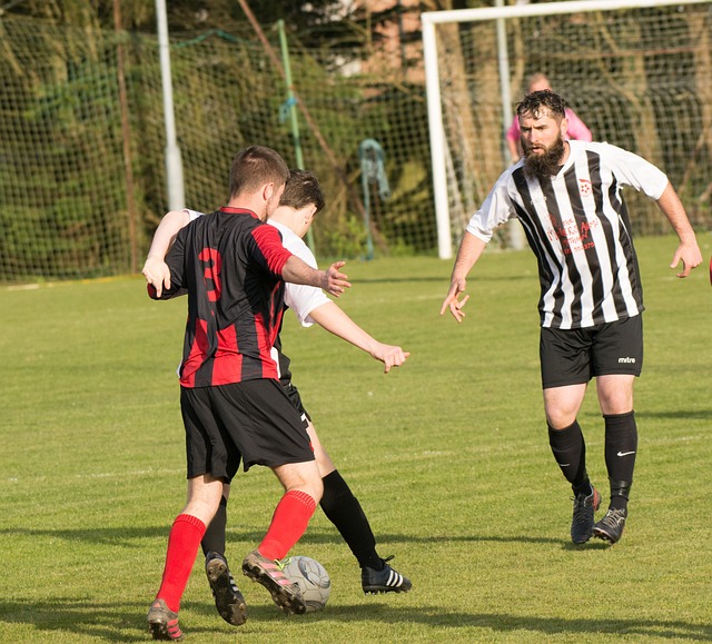 并不止步于 并不止步于