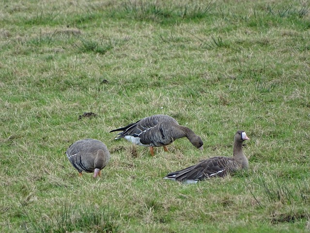 引发了广泛 引发了广泛