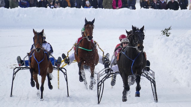 命中 命中